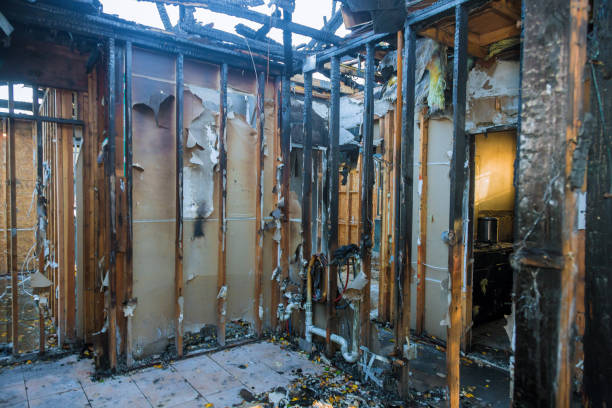 Professional Fire Damage Removal technician working in Lakeland, MN